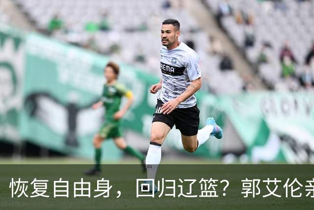 恢复自由身，回归辽篮？郭艾伦亲承，官宣回应，谁注意韩德君操作